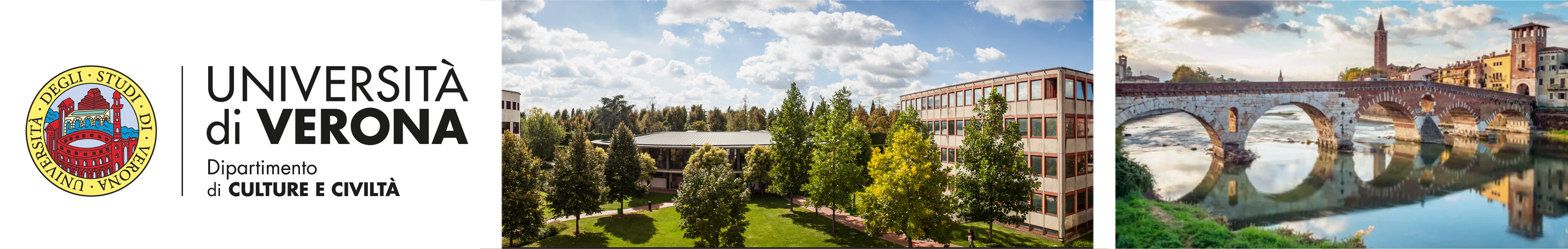 university of verona